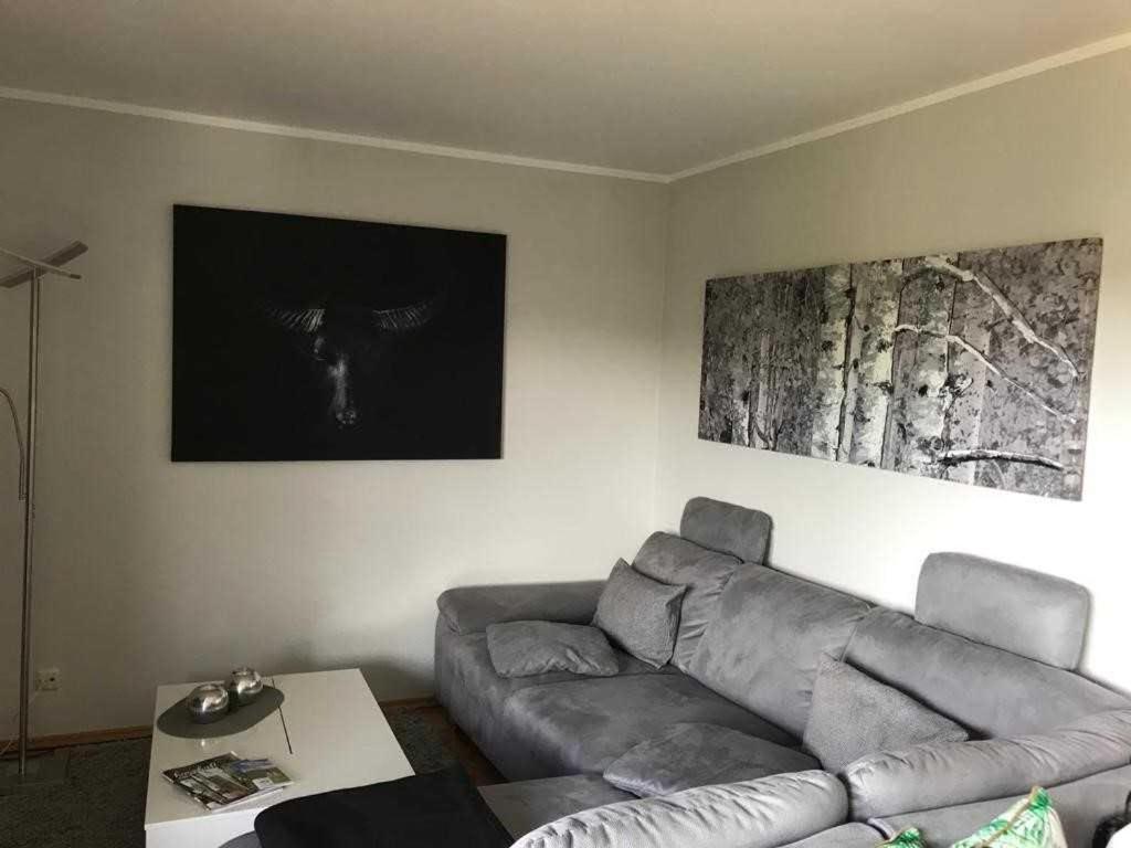 un salon avec un canapé gris et une photo dans l'établissement MountainLodge, à Altenau