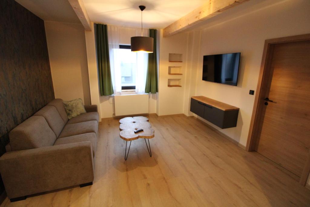 TV a/nebo společenská místnost v ubytování DER Hirsch Hotel