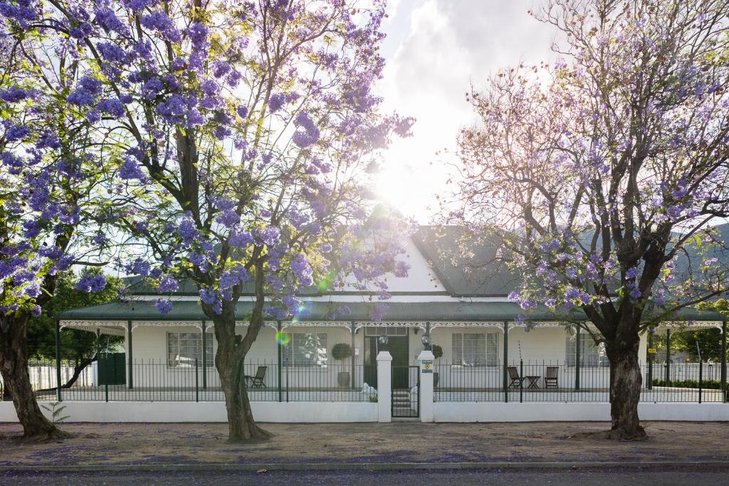 two trees in front of a white house with purple flowers at Victorian Square Guesthouse in Graaff-Reinet
