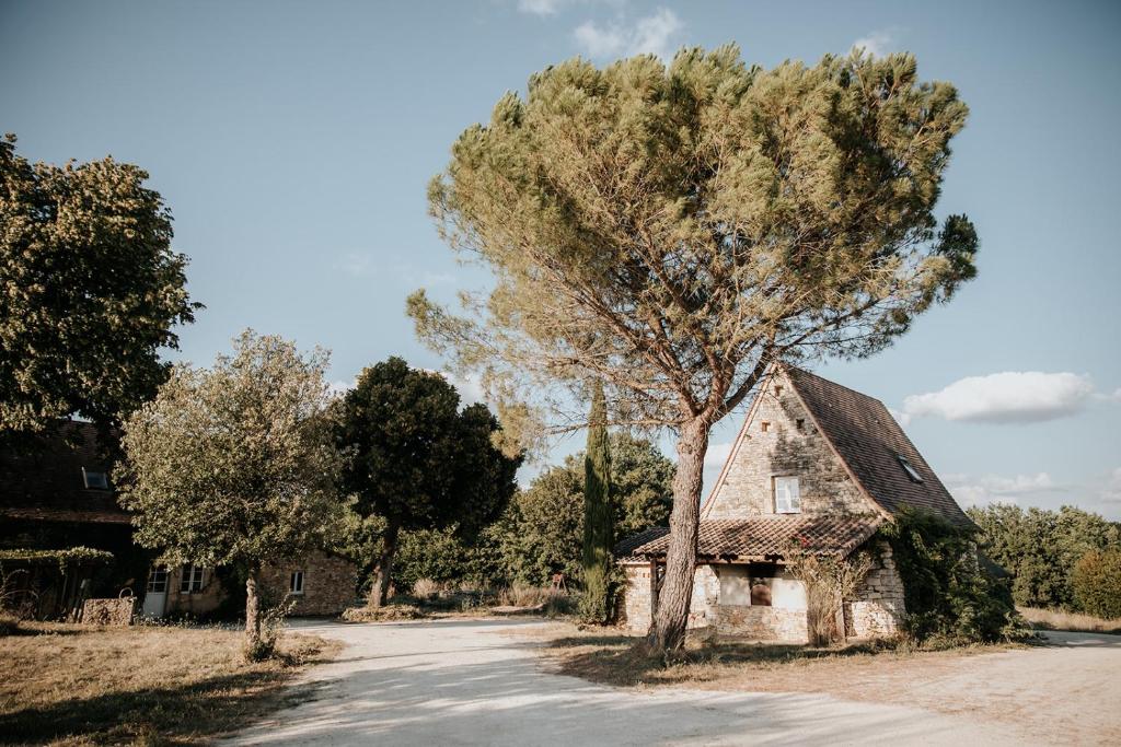 an old house with a tree on the side of a road at Domaine St-Amand in Saint-Amand-de-Coly