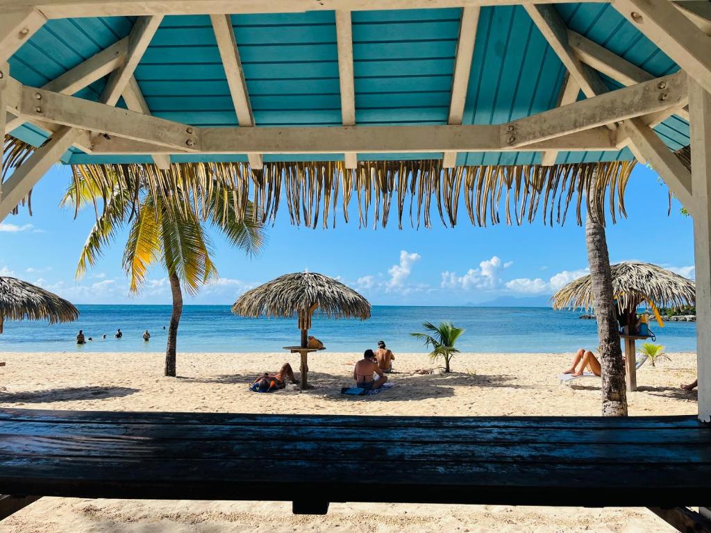 een strand met mensen onder parasols en de oceaan bij Brin d'ile Anse des Rochers vue mer à 50 m de la plage et piscine in Saint-François