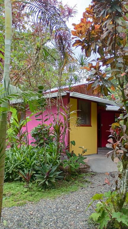 une maison à la façade rose et jaune dans l'établissement Cabinas Algebra, à Cahuita