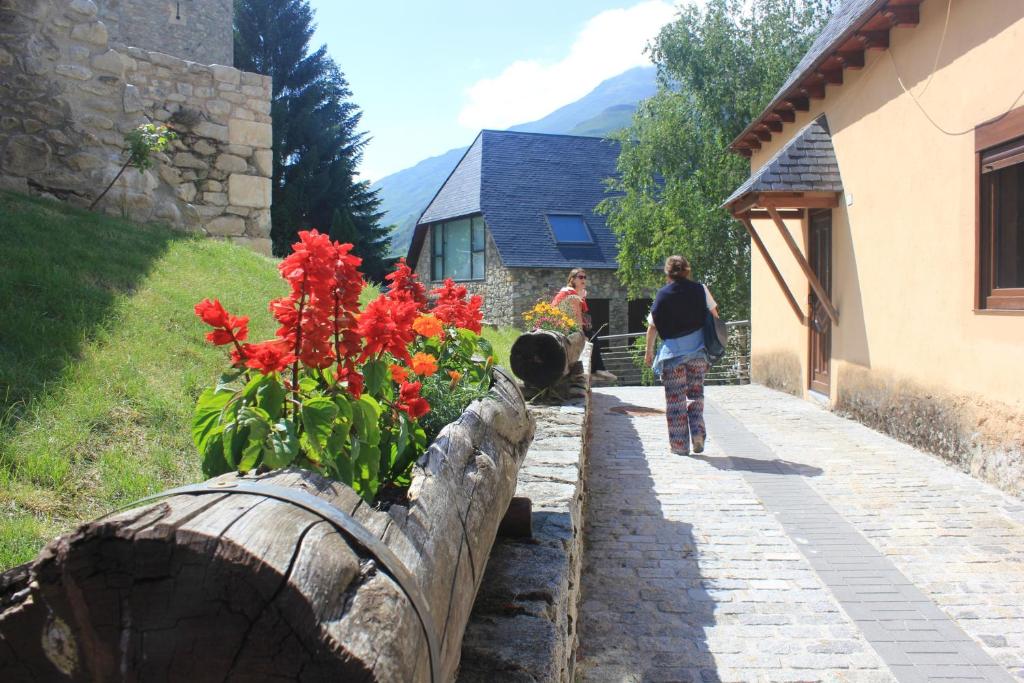 Zahrada ubytování Casa Arties