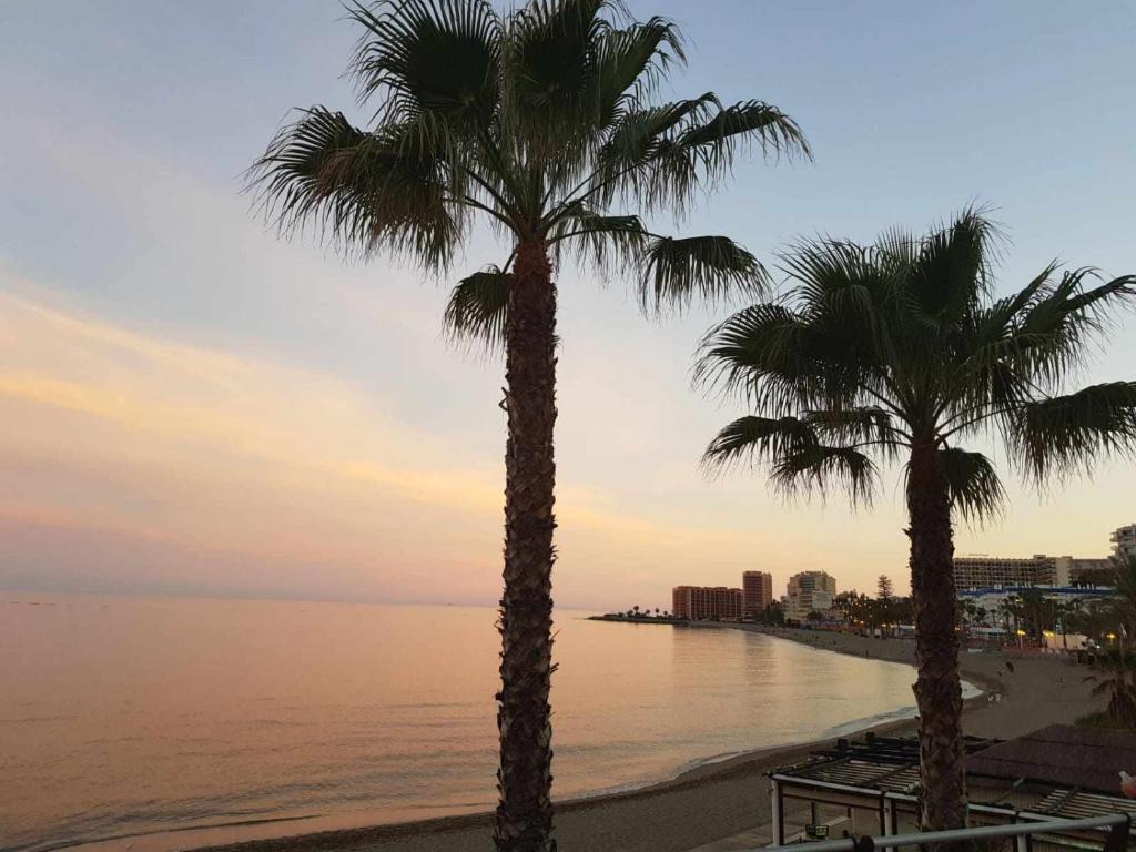 two palm trees on a beach near the water at Benal Beach 907 in Benalmádena