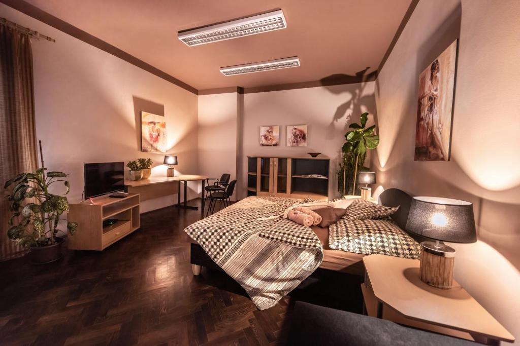 1 dormitorio con 2 camas, escritorio y TV en Penzion Komtesa en Ústí nad Labem