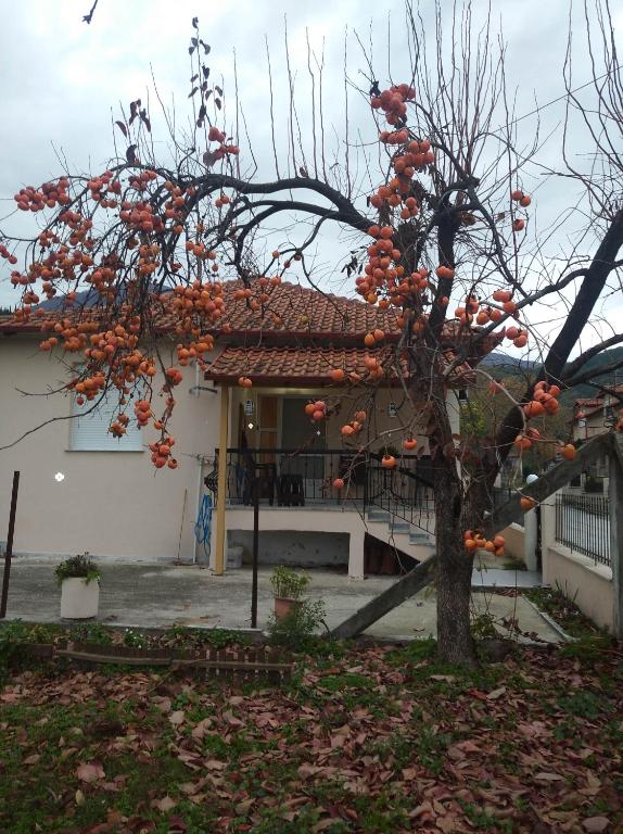 The building in which the holiday home is located