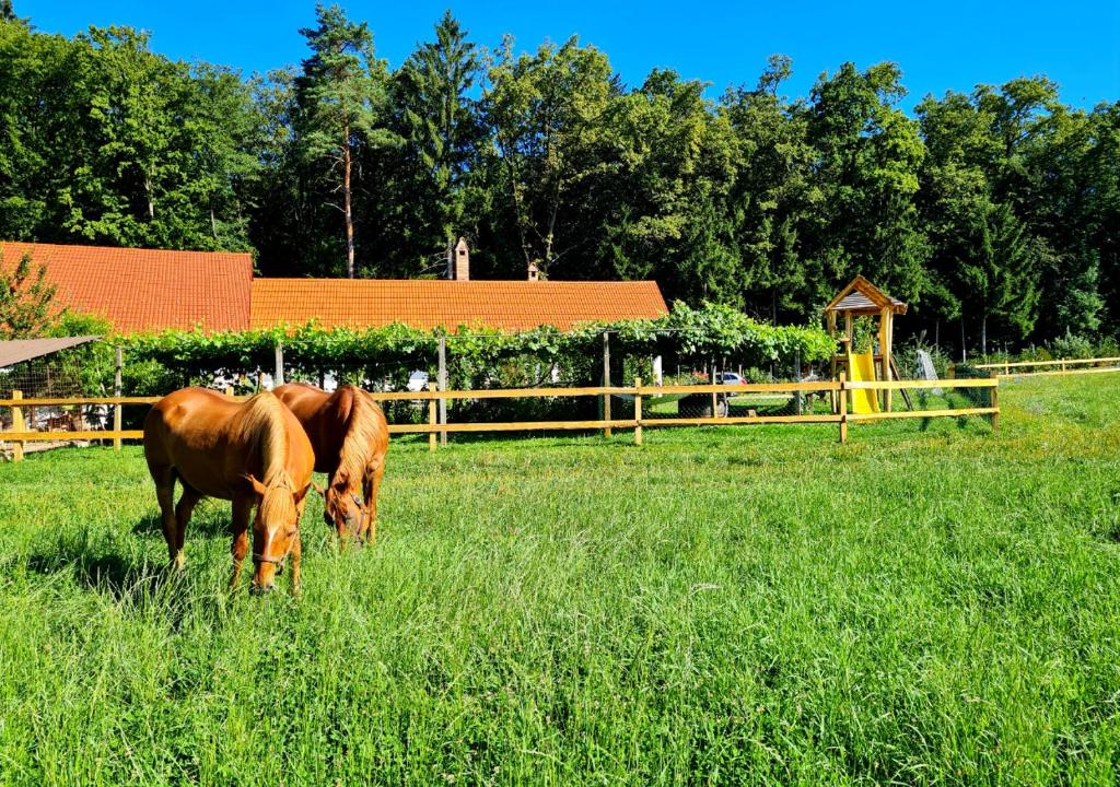 Zvířata v prázdninového domu nebo okolí
