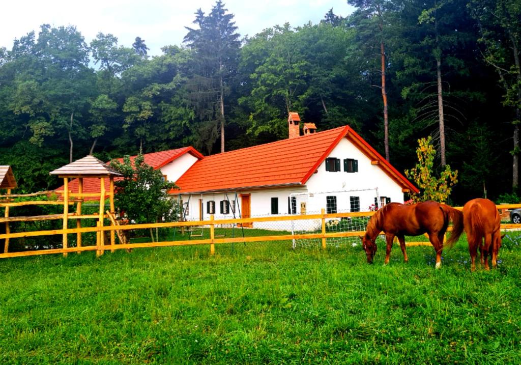 zwei Pferde, die auf einem Feld vor einem Haus grasen in der Unterkunft Turistična kmetija Hiša ob gozdu pri Ptuju in Ptuj