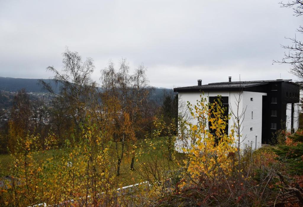 Príroda v okolí apartmánu
