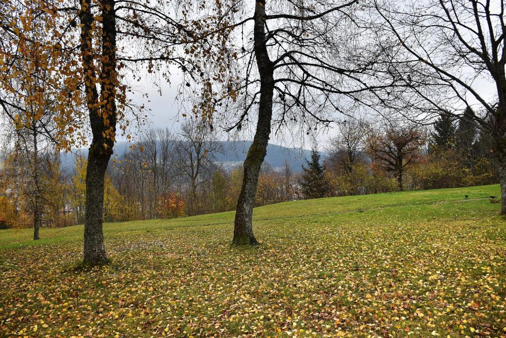 Príroda v okolí apartmánu