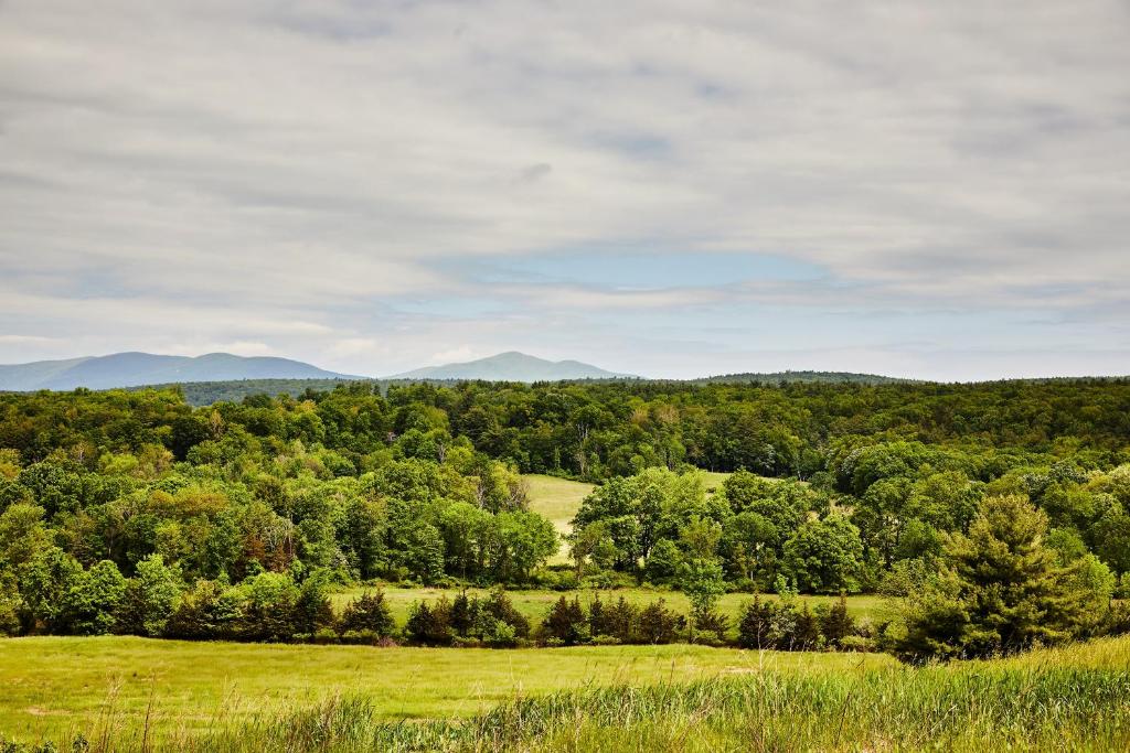 un terrain ouvert avec des arbres et des montagnes en arrière-plan dans l'établissement Inness, à Accord