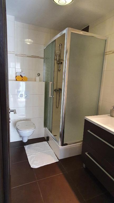 Koupelna v ubytování Premium Appartments Suha Punta