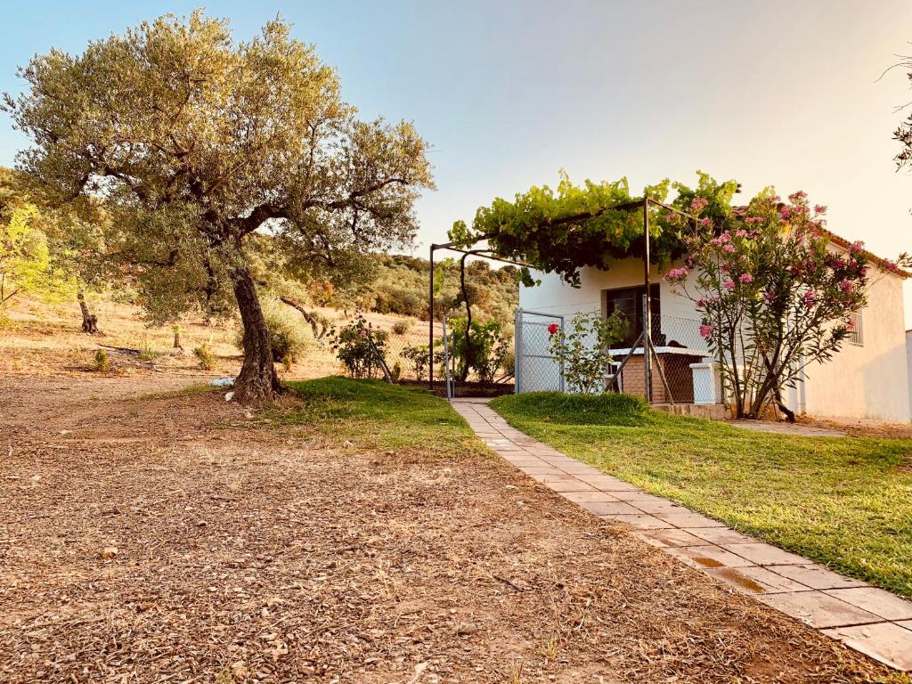 uma casa com uma árvore ao lado de um passeio em Casa rural Arroyo Marco em Guadalcanal