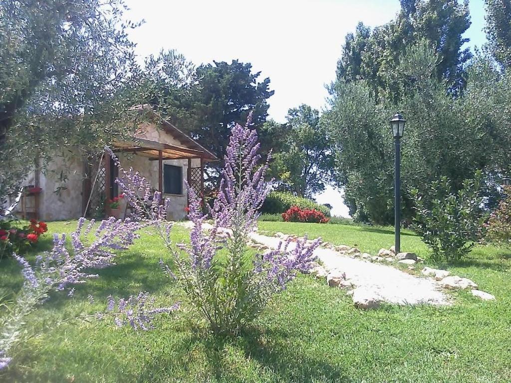un jardin avec des fleurs violettes en face d'une maison dans l'établissement Casale Dinelli, à Tarquinia