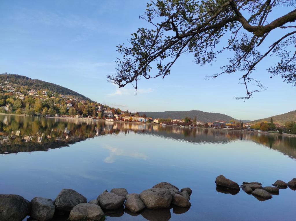widok na jezioro z kamieniami w wodzie w obiekcie Fête des jonquilles w mieście Gérardmer