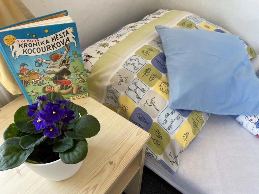 Postel nebo postele na pokoji v ubytování Penzion Slunečnice