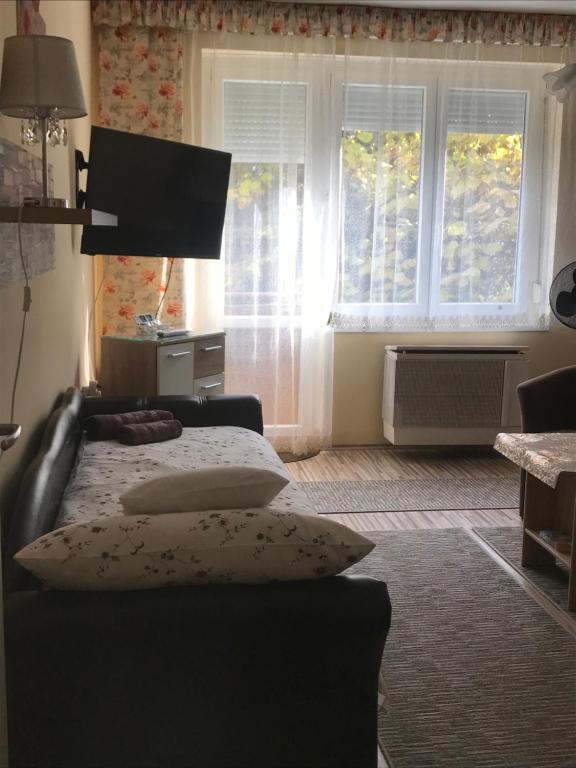 a bedroom with a bed and two windows at Melinda Apartman in Kaposvár