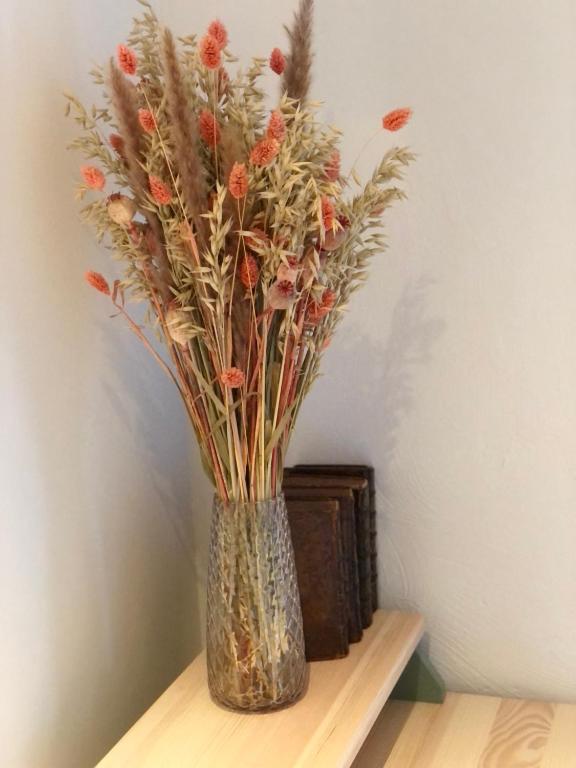 Fotografie z fotogalerie ubytování Cottage du Samson - Homestay v destinaci Mozet 