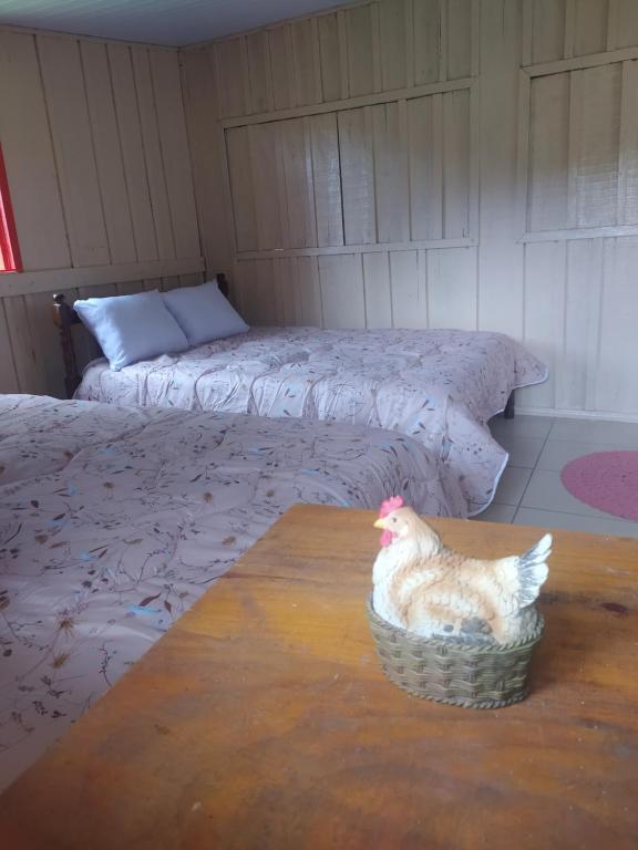 Postel nebo postele na pokoji v ubytování Fazenda São Matheus