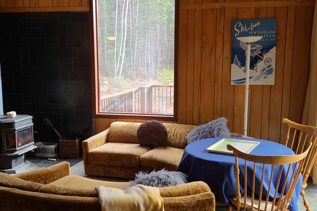 a living room with a couch and a table at Rustic Escape in Franconia