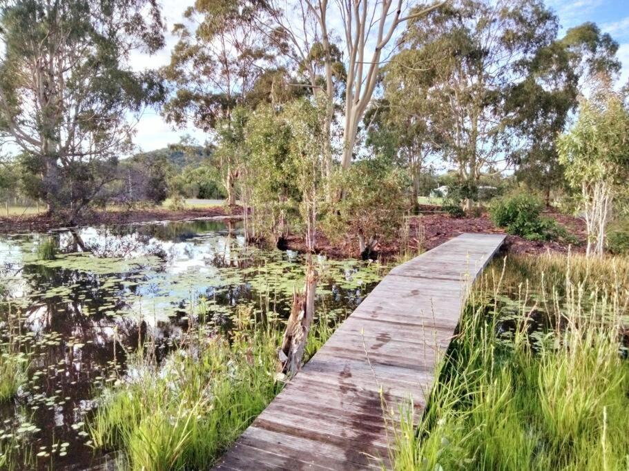 Holiday homes & houses for rent in Agnes Water