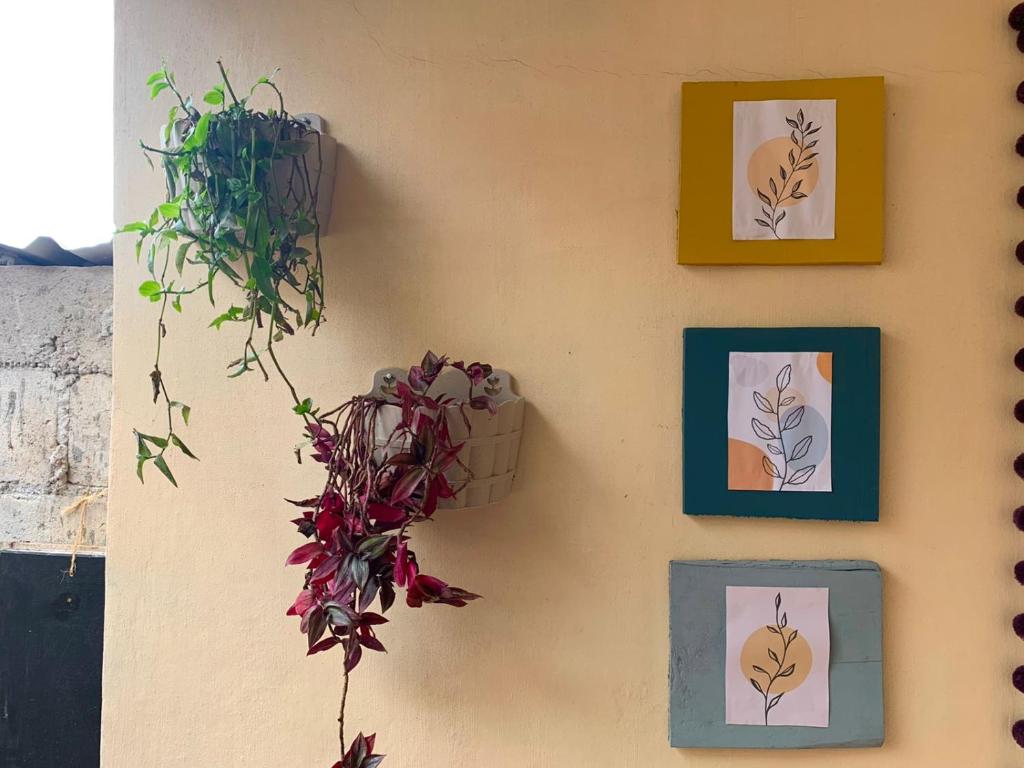 Fotografie z fotogalerie ubytování Hostal 23 v destinaci San Cristóbal de Las Casas