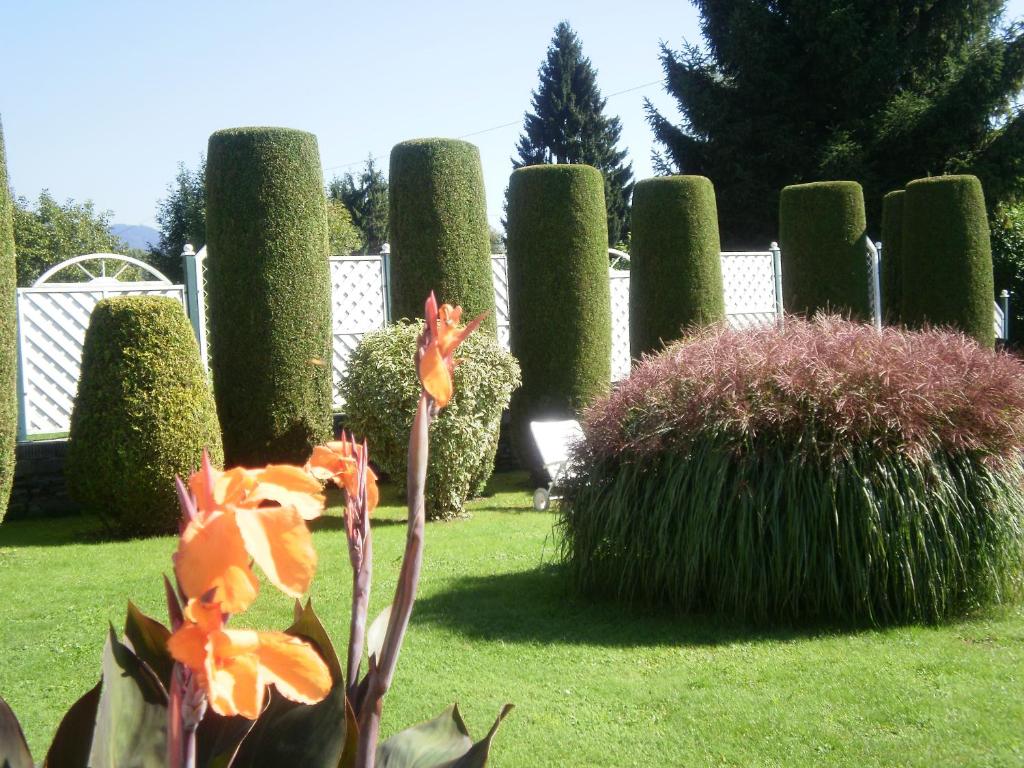 A garden outside Haus Thon