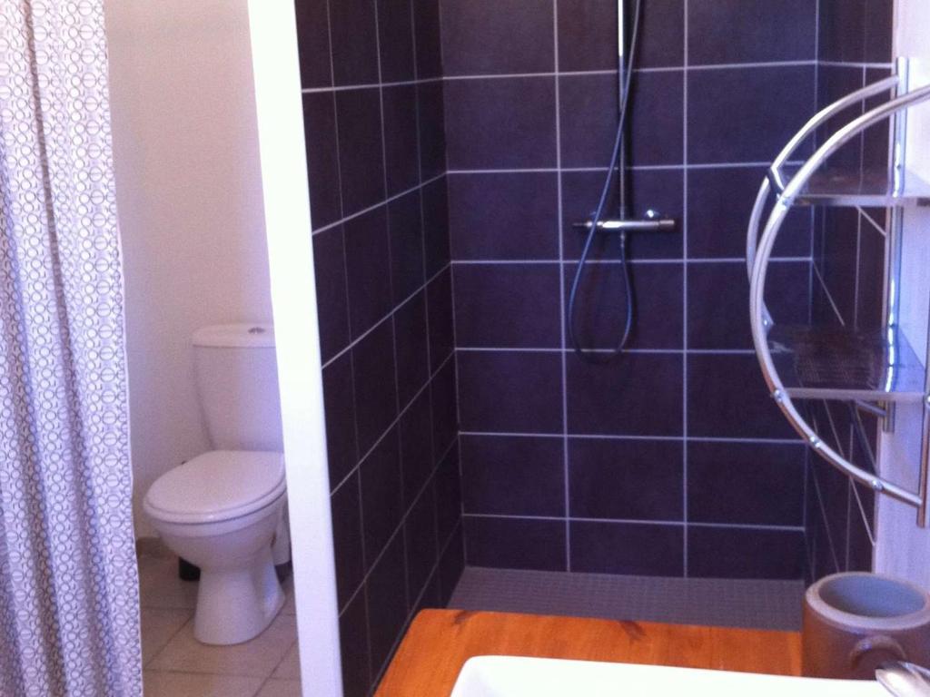 a bathroom with a shower with a toilet and blue tiles at Maison Vagnas, 4 pièces, 6 personnes - FR-1-382-176 in Vagnas