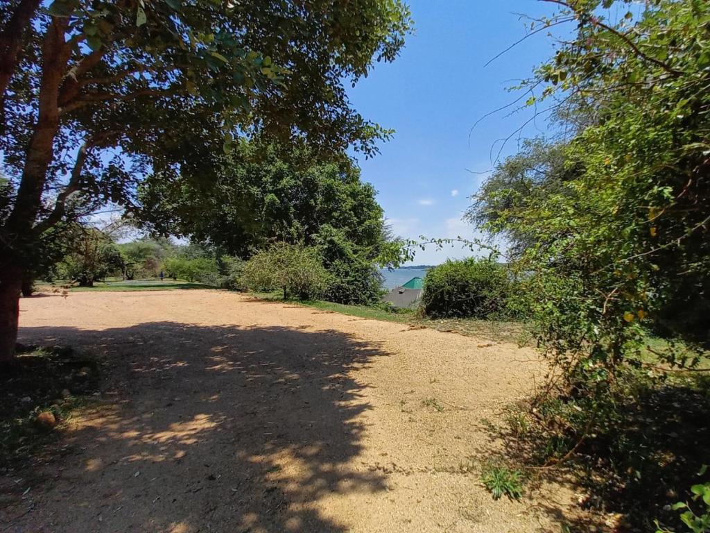 eine unbefestigte Straße mit Bäumen und Blick auf das Wasser in der Unterkunft Village Fig River Camp in Chiawa