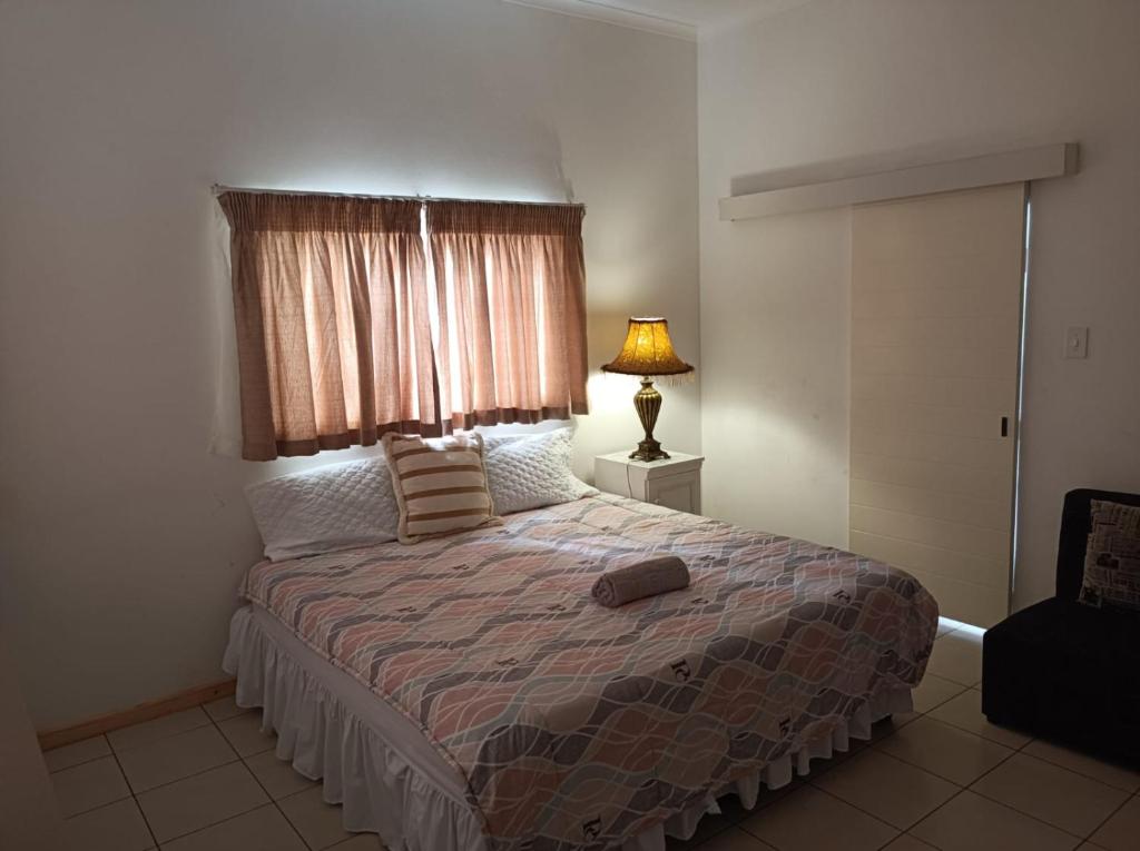 1 dormitorio con 1 cama con lámpara y ventana en Danodeb Lodge, en Pietermaritzburg