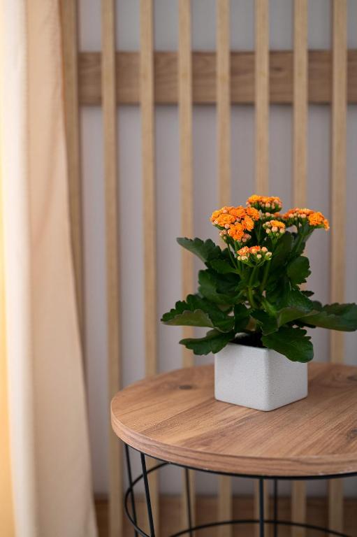 Amersa Luxury Apartments - 8