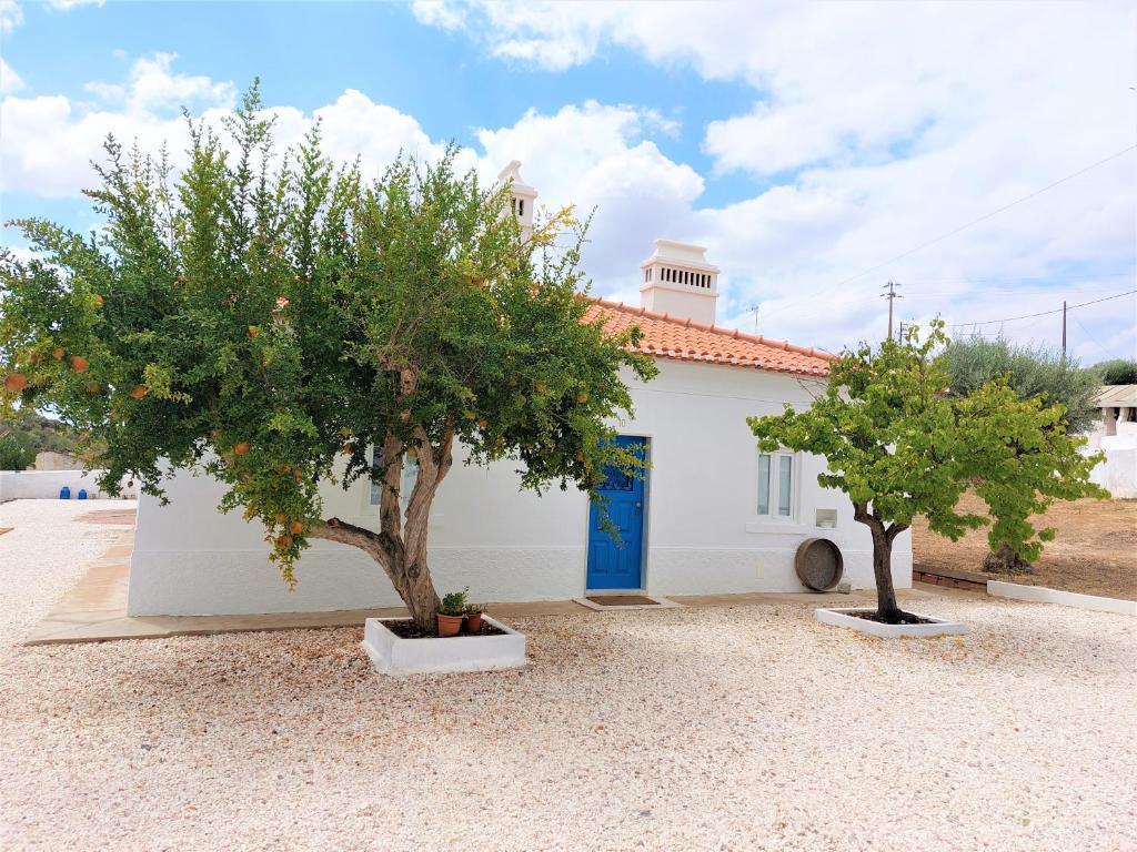 Φωτογραφία από το άλμπουμ του Mileu slowhouse σε Veiros