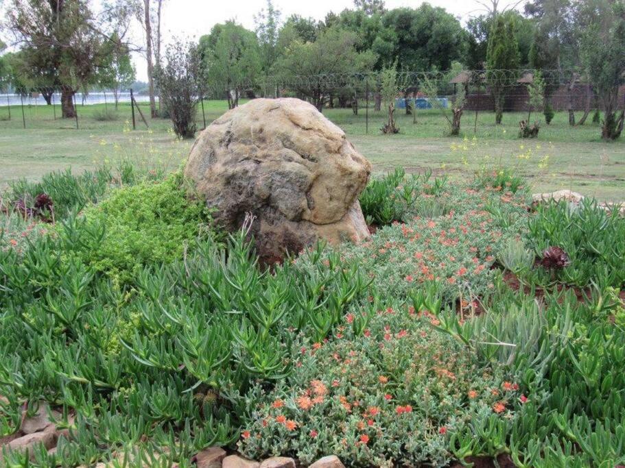 Flower Spot Vanderbijlpark | Best Flower Site