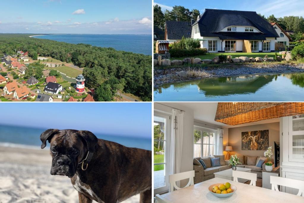 un collage de photos avec un chien et une maison dans l'établissement Ferien-im-Duenenhaus-Ole, à Glowe