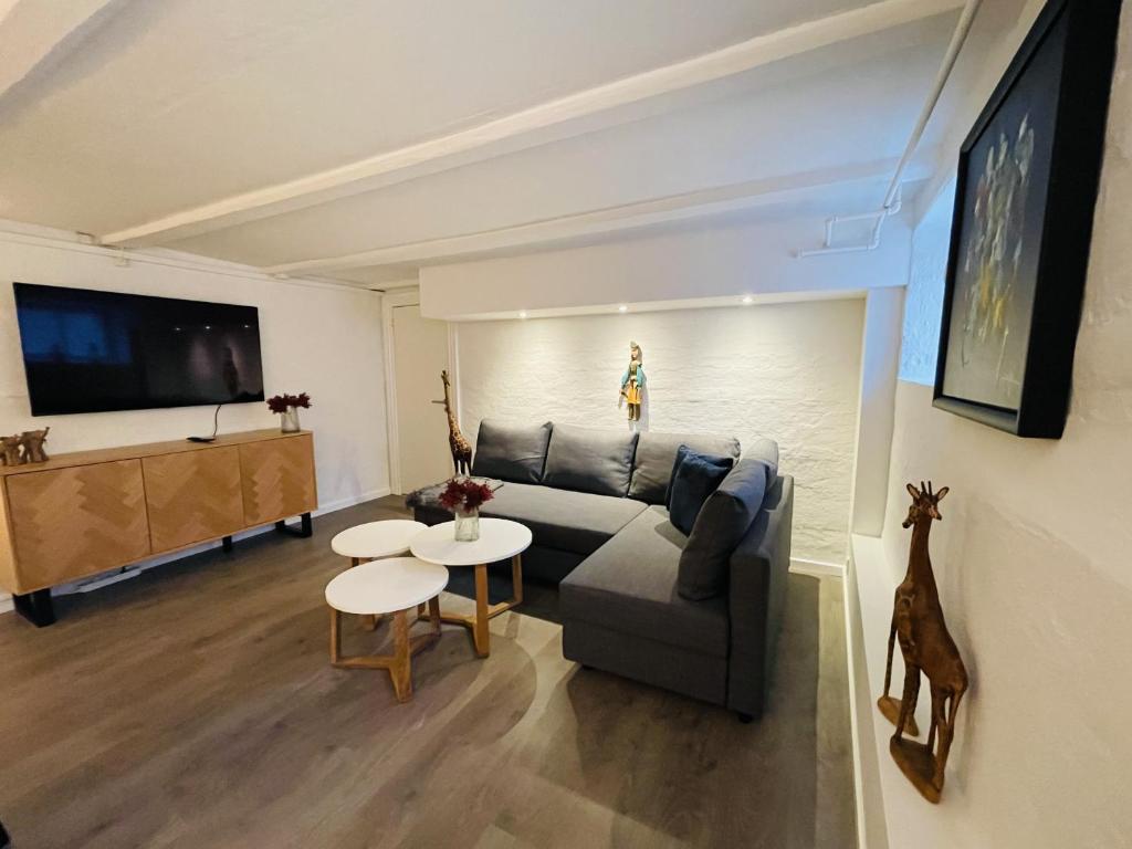 TV a/nebo společenská místnost v ubytování aday - Modern apartment in the Heart of Aalborg