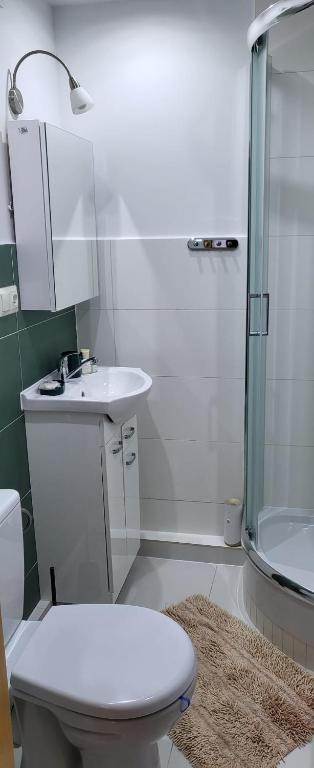 łazienka z prysznicem, toaletą i umywalką w obiekcie Apartament Busko-Zdrój - Franio w Busku Zdroju