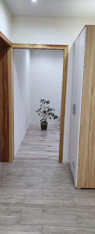 Zdjęcie z galerii obiektu Apartament Busko-Zdrój - Franio w Busku Zdroju