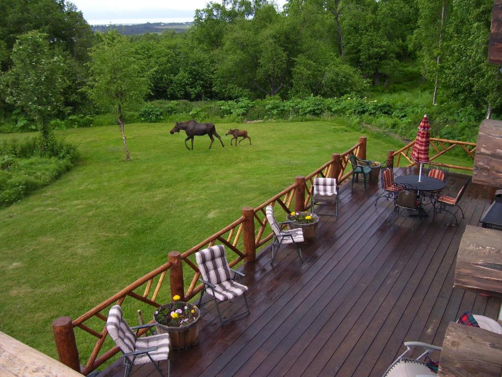 Zvířata v bed and breakfast nebo okolí
