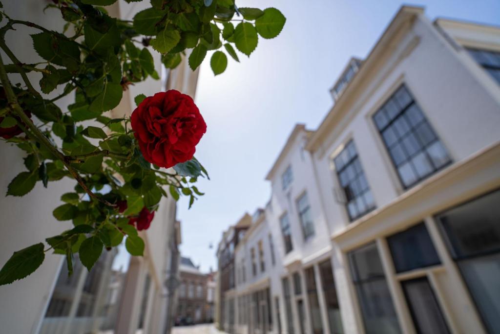 Hotel St Joris I Kloeg Collection - Resim 18