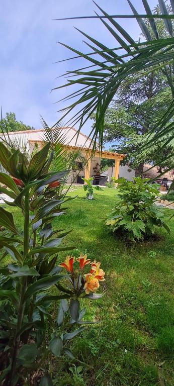 a garden with some flowers in the grass at Gîte les 2 cèdres in Cardet