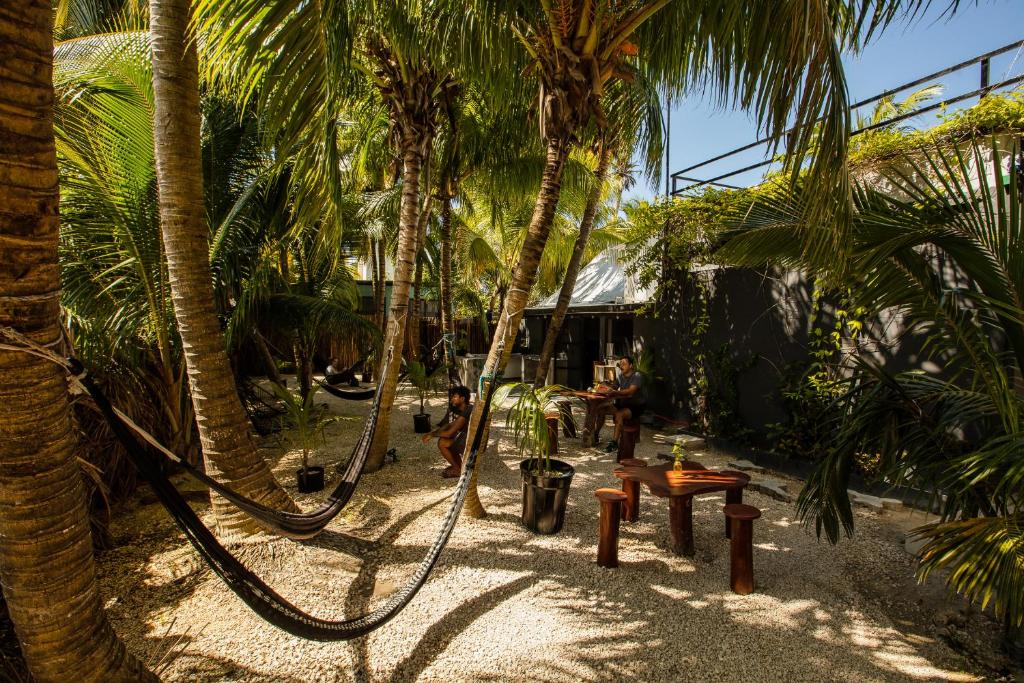 Zahrada ubytování Che Holbox Hostel & Bar Adults Only