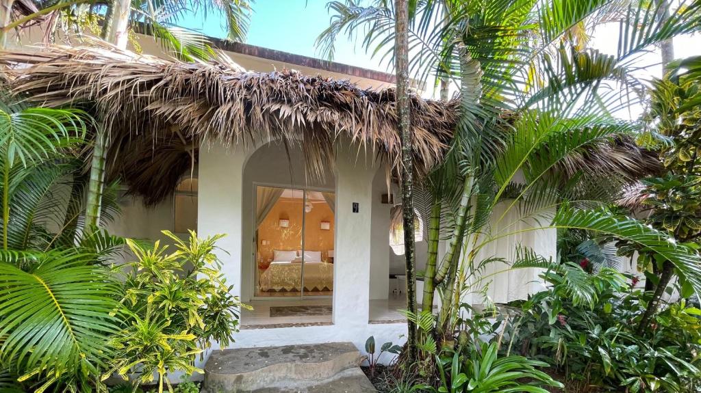 Un jardín fuera de Hotel La Tortuga