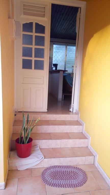 a set of stairs with a door and a potted plant at Mandévilla et Tropical Dream in Les Trois-Îlets