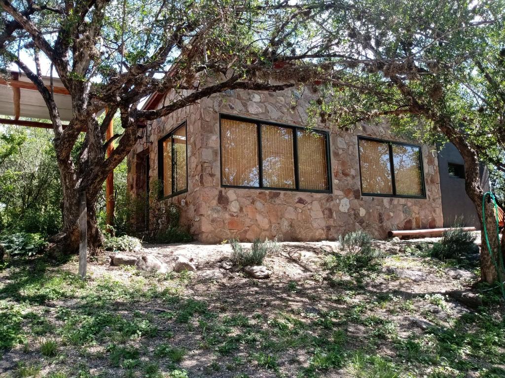 una casa de piedra con un árbol delante en Los chañares en San Javier