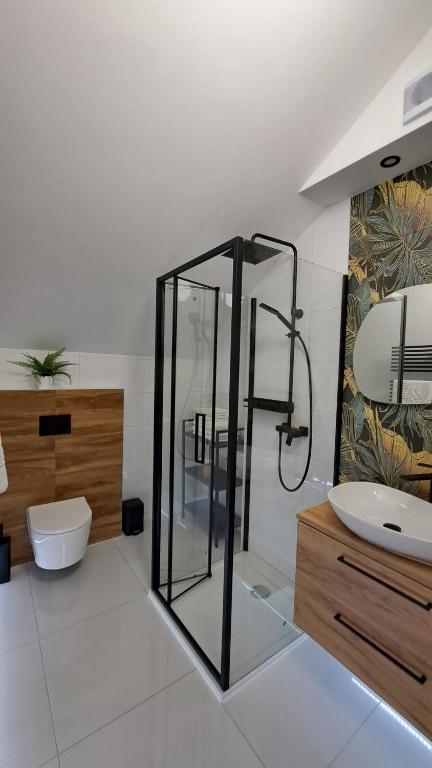 Apartamenty Bujaki Ustroń - 6