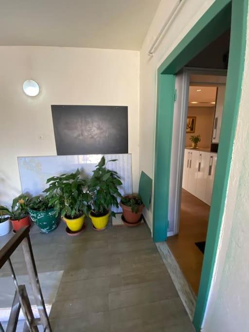 TOKAapartment - Image 7