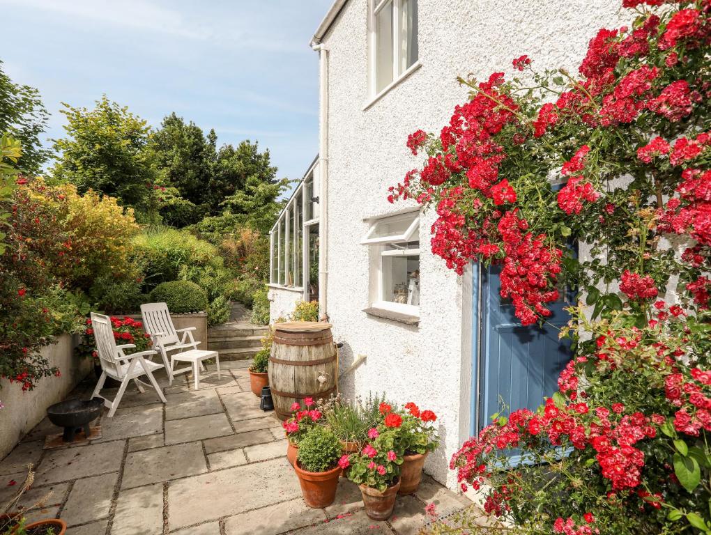un jardín con flores y una casa con puerta azul en Bryn Tegid, en Beaumaris