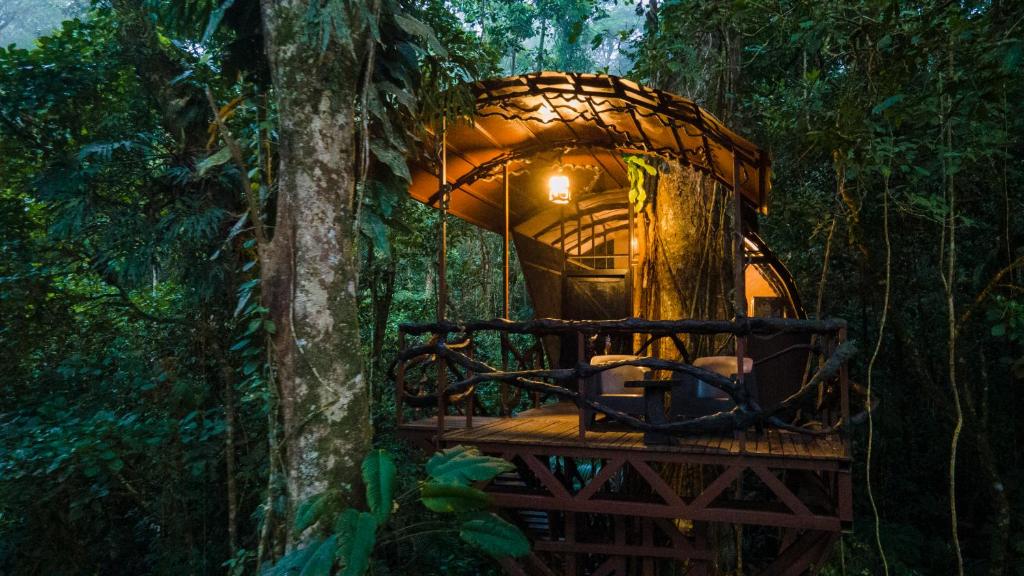 une cabane dans les arbres au milieu de la forêt dans l'établissement Maquenque Ecolodge, à Boca Tapada