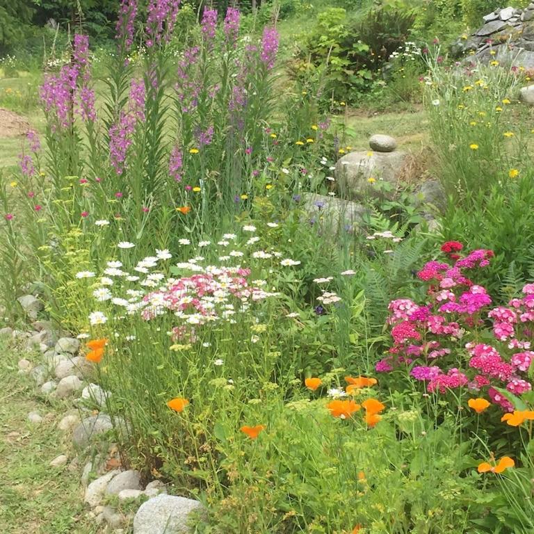 Cozy ,artistic cottage in a garden setting close to the beach and hiking trails. - Casa De Dos Dormitorios