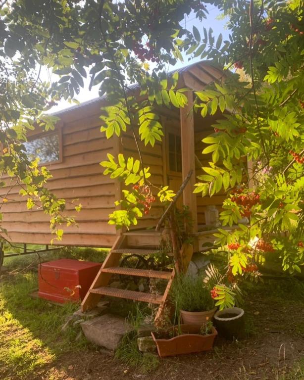 Zahrada ubytování Birkenshaw - Beautiful Shepherd’s Hut in the Highlands.